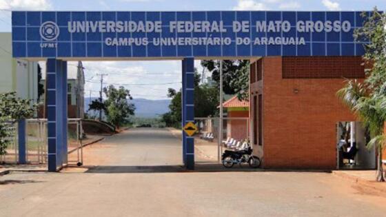 Universidade Federal do Araguaia