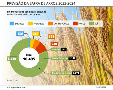 Safra; Arroz; Rio Grande do Sul