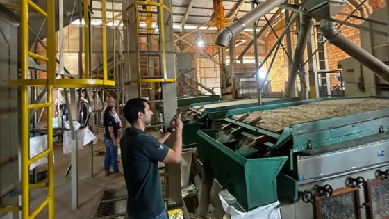 CNA e entidades do agro visitam regiões produtoras de feijão em Mato Grosso