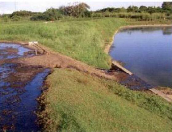 Fotografia feita por fiscais mostra efluentes de tripas de boi vazando de uma lagoa de tratamento para outra