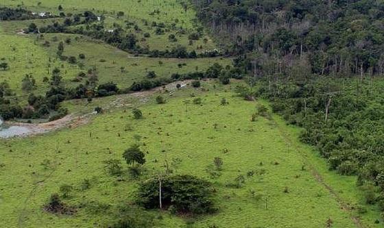 Regras para regularização fundiária em terras públicas federais do Incra