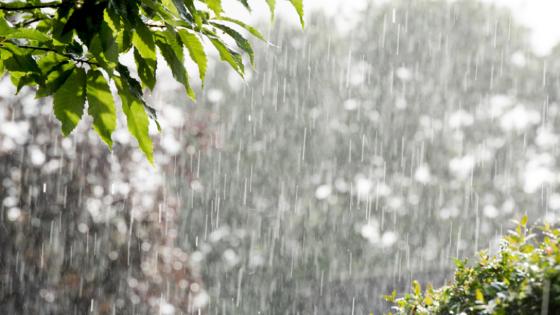 Chegada das chuvas em MT: Atenção aos perigo da chuva ácida.