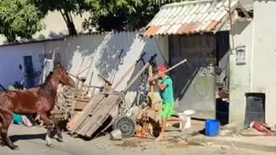 Carroceiro é flagrado agredindo cavalo com enxada após animal dar coice em sua neta 