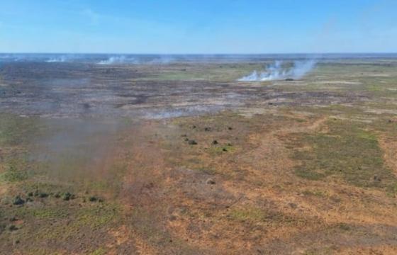 Produtores em Mato Grosso ligam o sinal de alerta diante seca severa no Pantanal