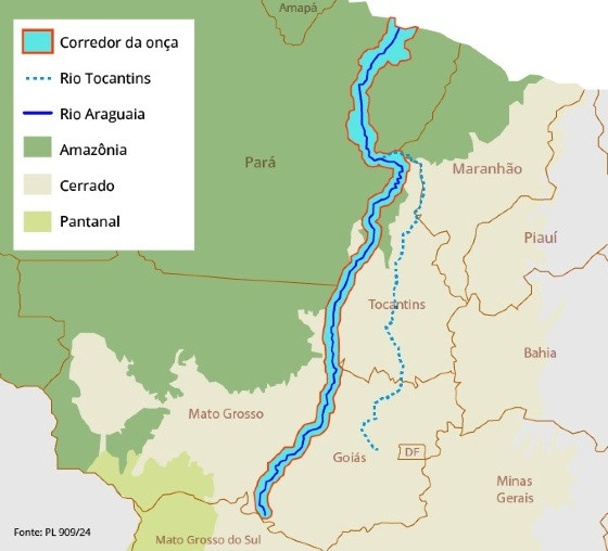 Corredor ecológico da onça-pintada poderá abarcar 13 municípios de MT; veja lista