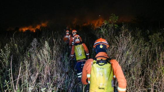 Pantanal; Mato Grosso do Sul; Incêndio 