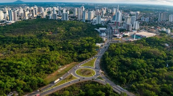 Mendes “barra” projeto de Botelho que impulsiona plantio de árvores em Cuiabá e VG