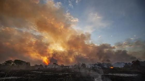 Governo federal reforça combate a incêndios no Pantanal com 14 aeronaves