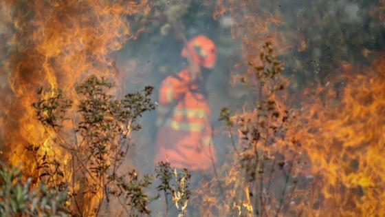 prevenção aos incêndios 