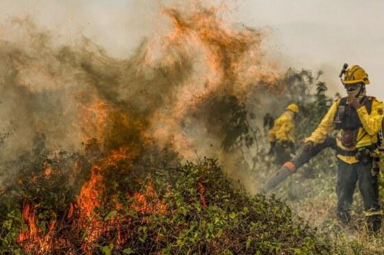 Polícia Federal investiga 18 focos de incêndio no Pantanal