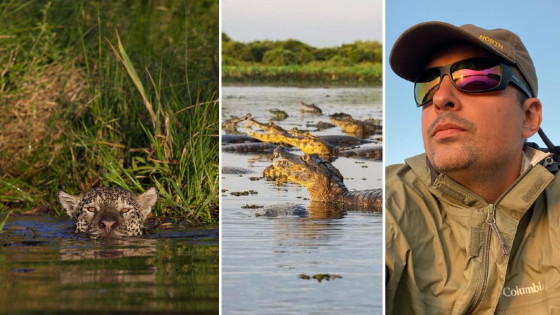 Guia de tursimo revela experiências vividas no Pantanal Mato-grossense, incluindo maior incêndio no bioma.