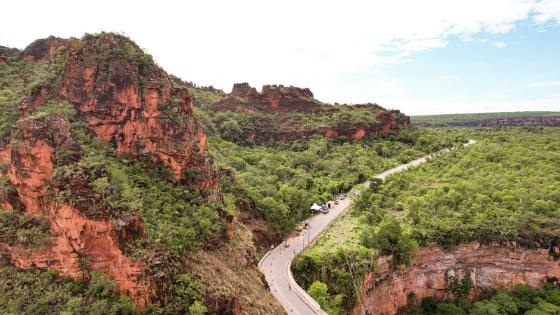 Botelho promulga lei que "libera" plantio de eucalipto em Chapada dos Guimarães