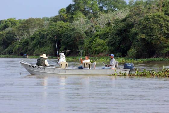 Empresária da Pesca cobra deputado por voto que leva o setor a falência em MT: “implorei para ele”