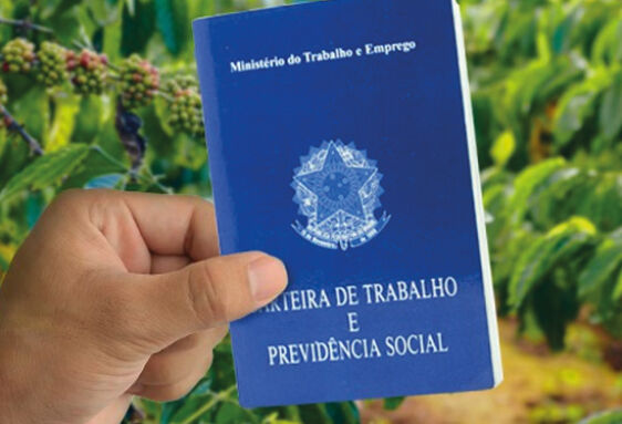 https://cdn.vgnoticias.com.br/storage/webdisco/2024/07/22/capa/default/T1595P1/2d31e22c2a26051650b461da69644422.jpg