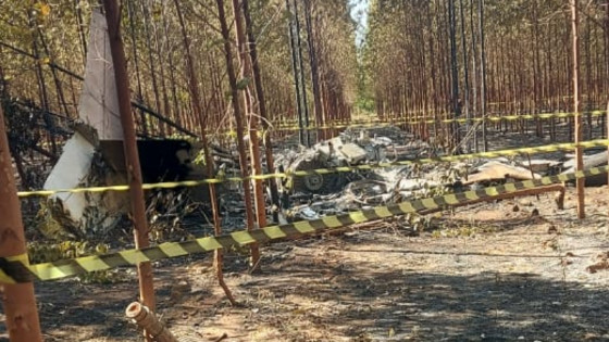 Tripulantes morrem após jato executivo cair em plantação de eucalipto em MT.