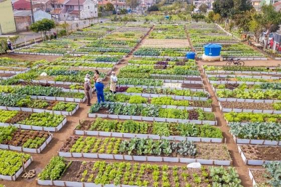 Lei tem como objetivo ampliar a segurança alimentar e nutricional das populações urbanas vulneráveis