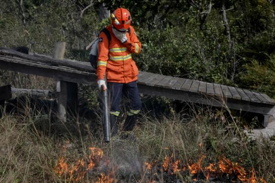 Estrada de Chapada é tomada por incêndio; bombeiros trabalham para combater fogo.