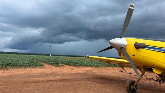 Indea estará presente no 3º Seminário para Desenvolvimento Agropecuário de MT