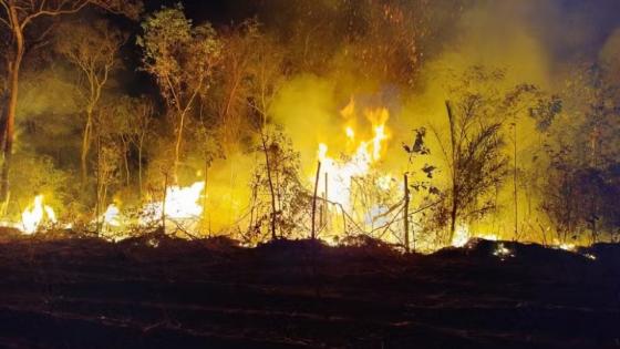 Incêndio atinge território indígena; bombeiros realizam combate às chamas desde domingo.