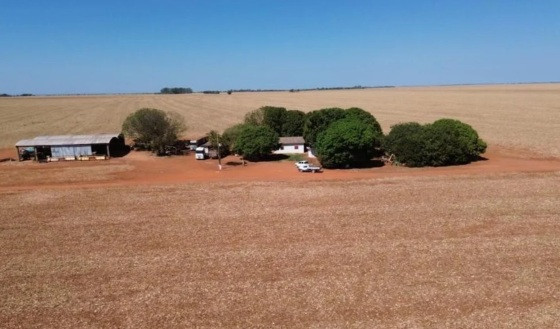 Fazenda será leiloada para custear obras do Parque Novo Mato Grosso; Entidade aponta superfaturamento