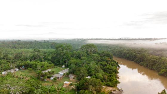 Governo Federal registra queda expressiva do desmatamento na Terra Indígena Karipuna e conclui processo de desintrusão da área