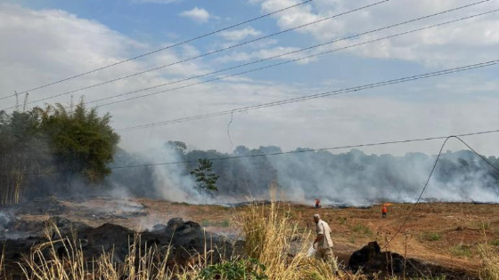 Incêndio às margens da BR-163 faz com que rodovia seja bloqueada.