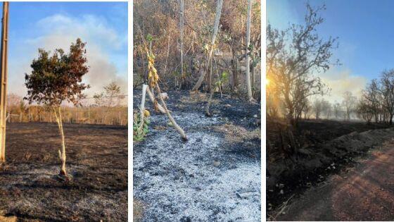 Incêndio destrói casa e plantio de chácara na estrada velha da Guia