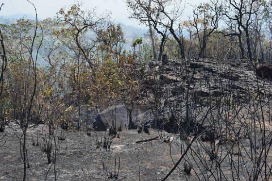 Moradores de Chapada sofrem com a seca e prefeito decreta situação de emergência