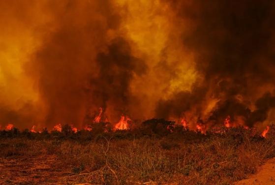 CNJ recomendará que juízes priorizem casos de infração ambiental