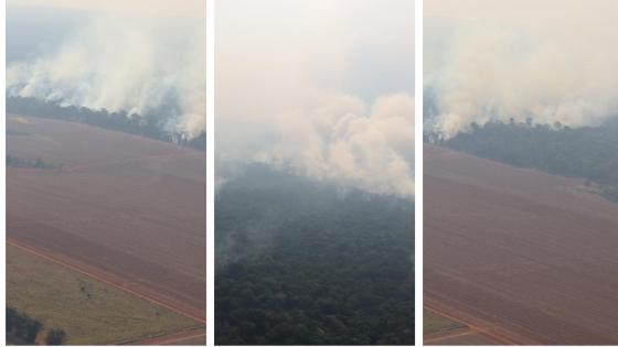 Alta de 40% nas queimadas e inércia do Estado marcam o Dia da Amazônia no Parque Estadual Cristalino II (MT); organizações reagem