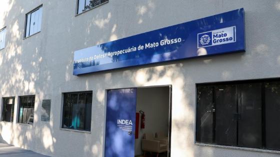 Indea confirma caso de raiva bovina em Porto Estrela