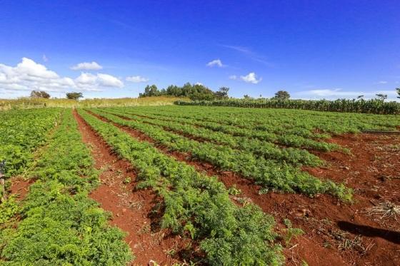 Terras foram concedidas em programa voltado à regularização fundiária e reconhecimento dos direitos territoriais dos povos indígenas