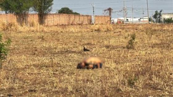 Cadáver de homem é encontrado ao lado de arma em pasto.