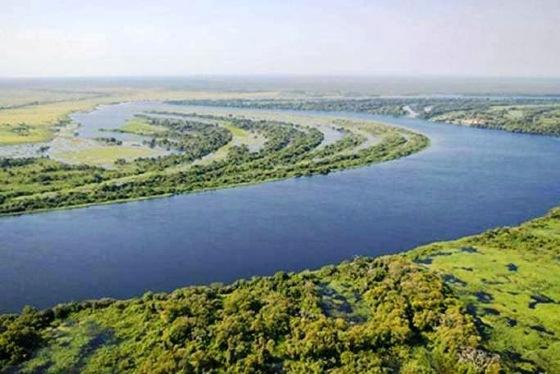 Bacia do Alto Paraguai, Pantanal