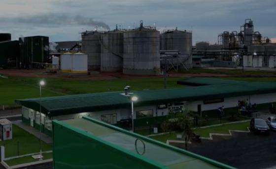 ALD Bioenergia registra prejuízo de R$ 5,9 milhões em 2023, após lucro de R$ 41 milhões em 2022