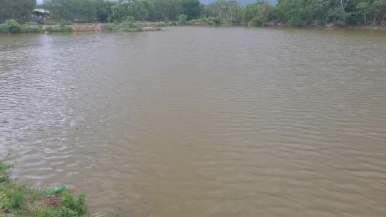 Adolescente morre ao se afogar em tanque de peixe desativado em Cuiabá.