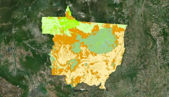 Deputados podem transformar florestas de MT em cerrado duplicando área permitida para desmatamento 