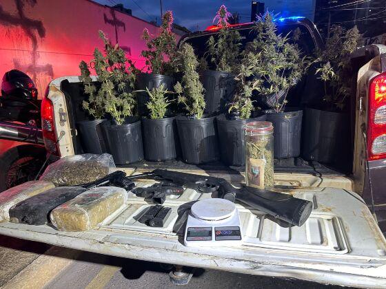 Polícia apreendeu na casa do servidor estufa com 61 plantas análogas à maconha, em vasos