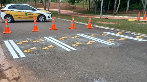 SEmob; cuiabá; parque das aguas; capivara