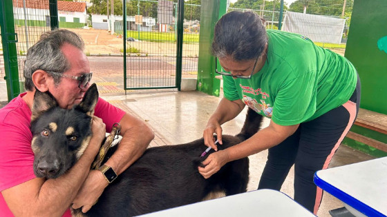 Cuiabá realiza neste sábado (30) a segunda etapa da Campanha de Vacinação Antirrábica Animal