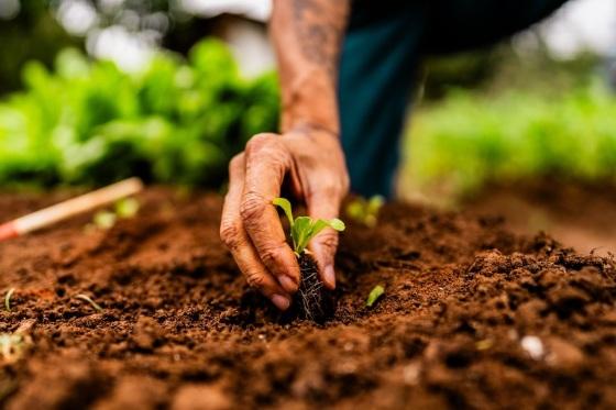 Plataforma reúne informações sobre a origem dos produtos, as práticas agrícolas utilizadas e os impactos ambientais