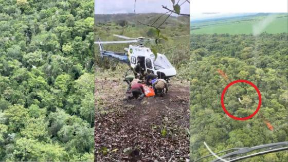 Piloto que sobreviveu à queda de avião em mata fechada é resgatado um dia depois.