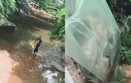 Vídeo mostra pescaria que encheu sacolas em bairro de Cuiabá