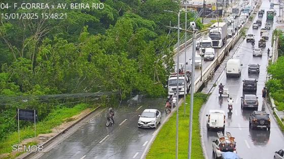 Árvore cai e poste pega fogo em avenida de Cuiabá.