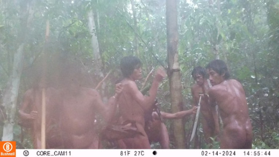 índios; Massaco; Kawahiva do Rio Pardo