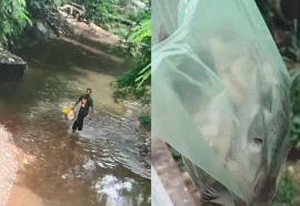 Vídeo mostra pescaria que encheu sacolas em bairro de Cuiabá