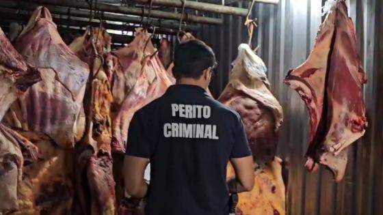 Picanha estragada comprada para fazer ração era vendida em mercados no RJ, aponta polícia