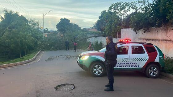 Queda de árvore causa acidente com motociclista em VG