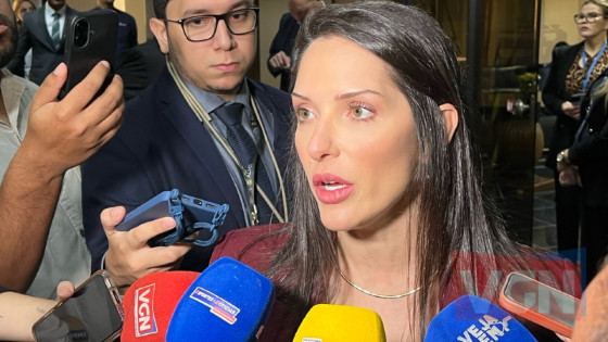 Deputada diz que Governo antecipou embate político “Não precisava disso agora”.
