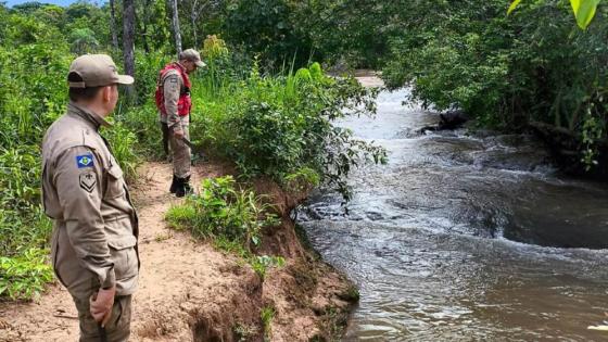 Bebê indígena de um ano e oito meses desaparece em região de mata.